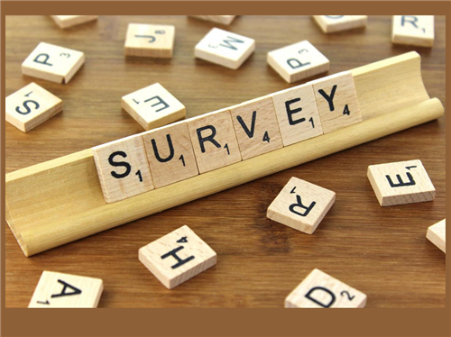 Parent Survey Image